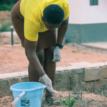 A student watering the planted trees