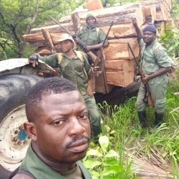 Confiscated wooden logs by the Ghana Forestry Commission patrol team