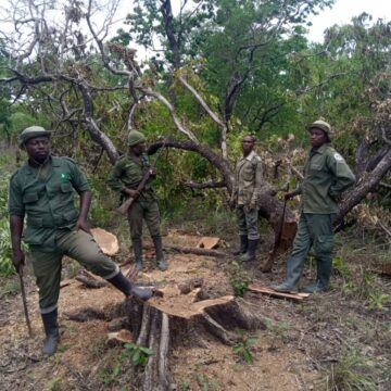 A section of the Ghana Forestry Commission patrol team at the illegal lumbering site in the Kalakpa Forest Reserve